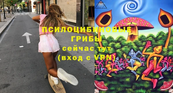 мдпв Киреевск