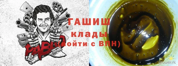 мдпв Киреевск