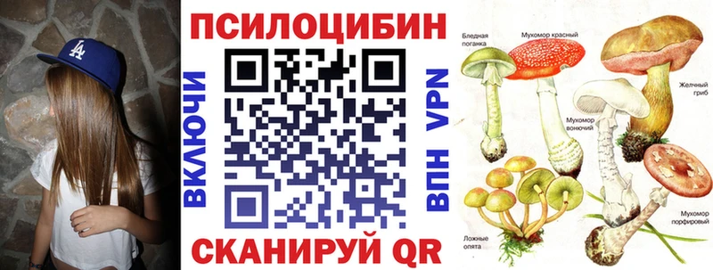 Купить где  Приморско-Ахтарск  Галлюциногенные грибы GOLDEN TEACHER 